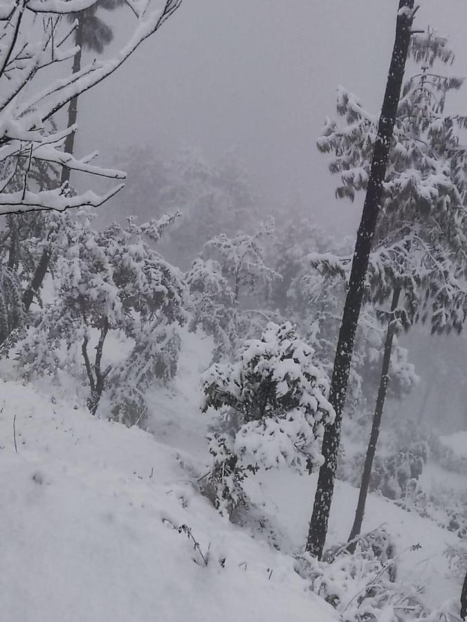 The Heavens Apartment Almora Luaran gambar