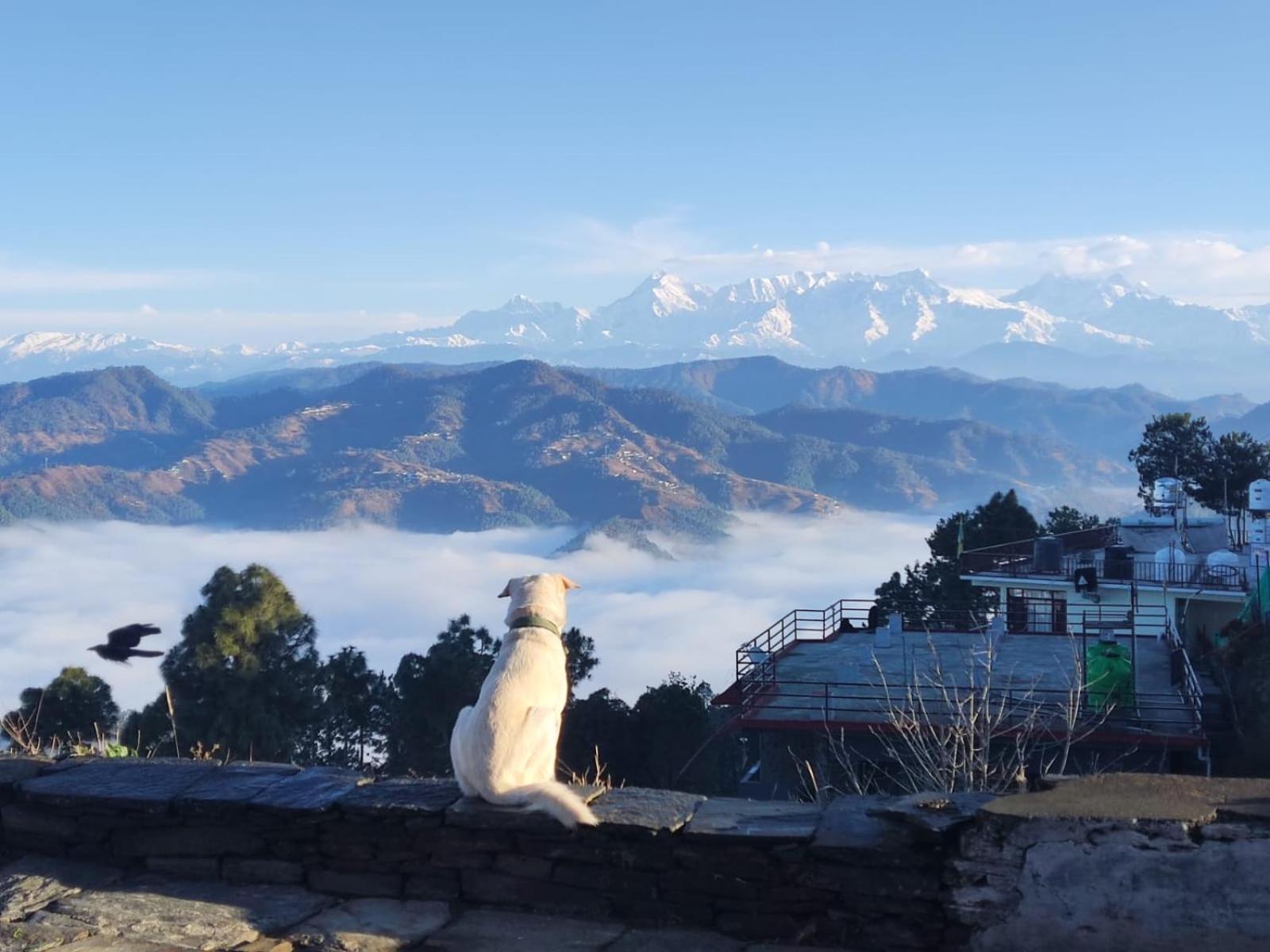 The Heavens Apartment Almora Luaran gambar